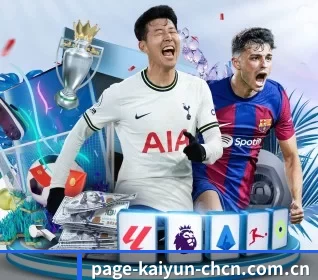 开云官方网站 APP 界面